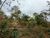 Terreno, 2300 m² - Foto 4