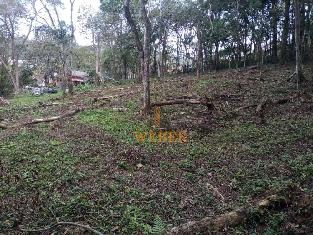 Terreno, 1750 m² - Foto 3