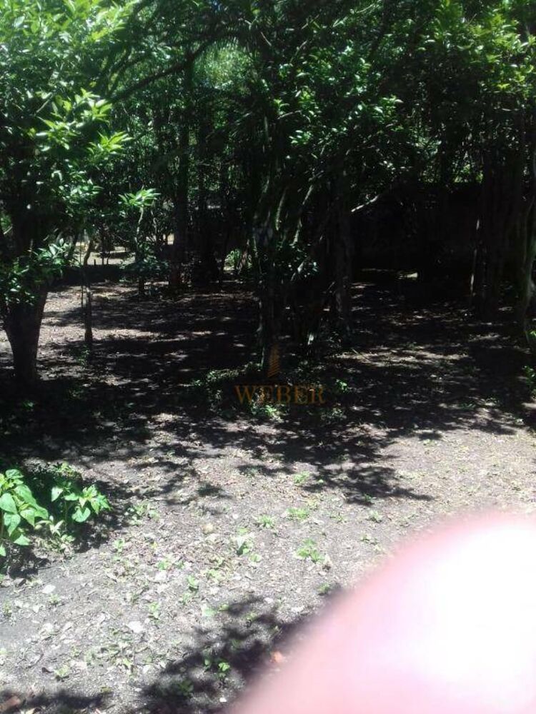 Terreno, 1000 m² - Foto 6