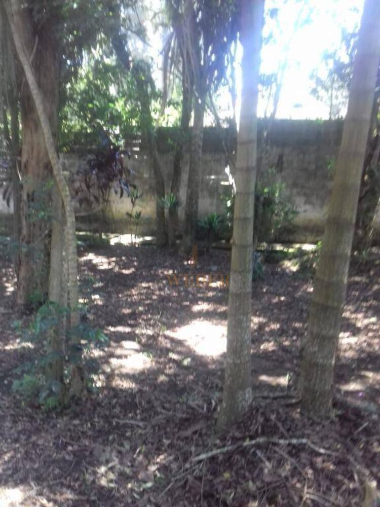 Terreno, 1000 m² - Foto 4