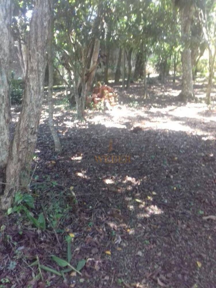 Terreno, 1000 m² - Foto 2