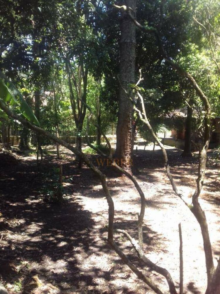 Terreno, 1000 m² - Foto 3