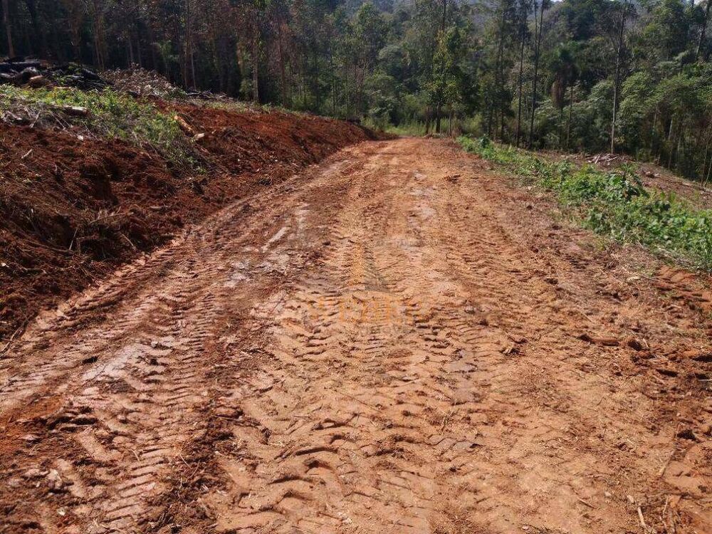 Terreno, 7 hectares - Foto 7