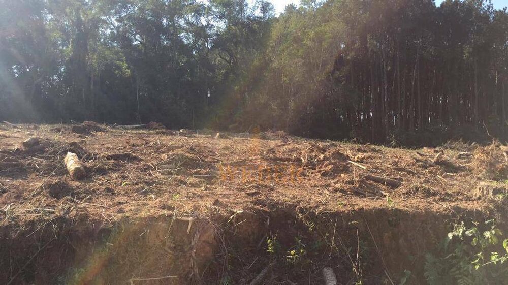 Terreno, 7 hectares - Foto 4