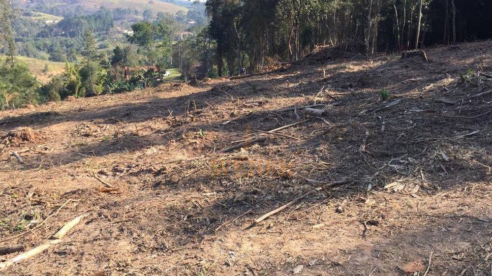 Terreno, 7 hectares - Foto 5