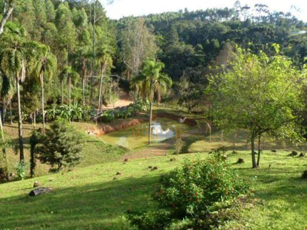 Chácara, 2 quartos, 1 hectares - Foto 6