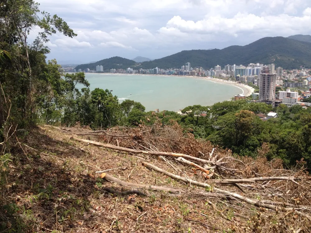 Terreno, 492 m² - Foto 3