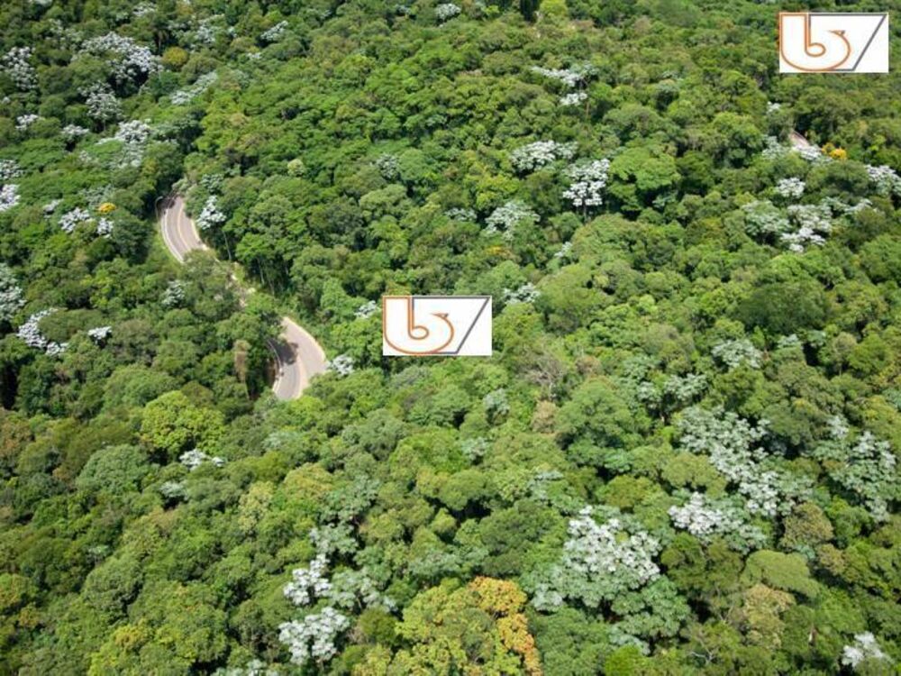 Terreno, 614 m² - Foto 6