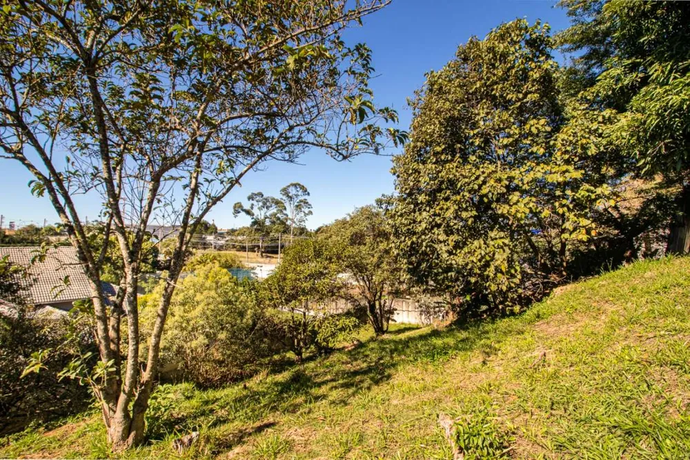 Terreno, 2018 m² - Foto 6