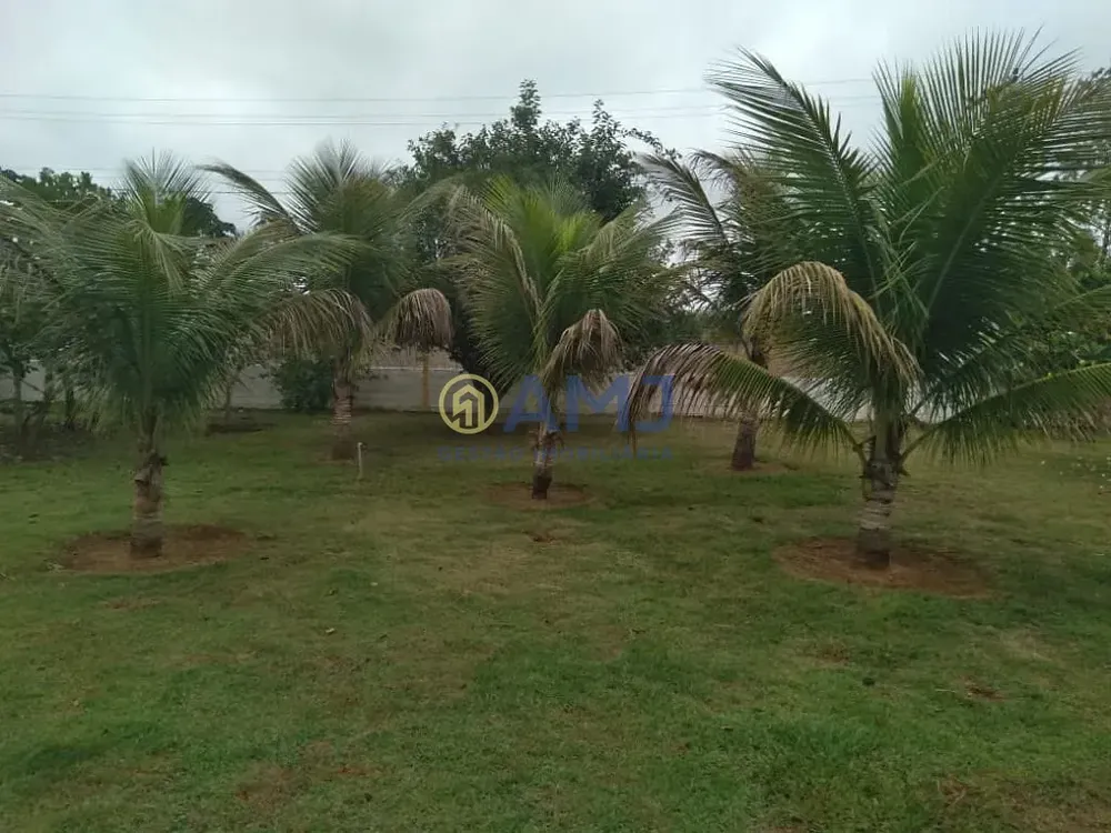 Chácara, 3 quartos, 5000 m² - Foto 4