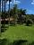 Fazenda-Sítio-Chácara, 70 hectares - Foto 23