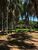 Fazenda-Sítio-Chácara, 70 hectares - Foto 17