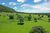Fazenda-Sítio-Chácara, 70 hectares - Foto 15