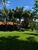 Fazenda-Sítio-Chácara, 70 hectares - Foto 14