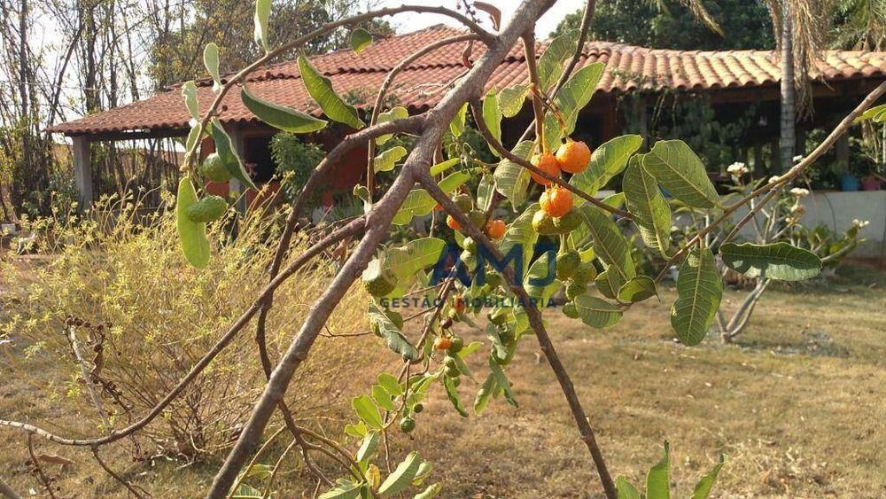 Chácara, 3 quartos, 3111 m² - Foto 2