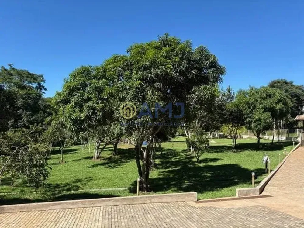 Chácara, 5 quartos, 4887 m² - Foto 2