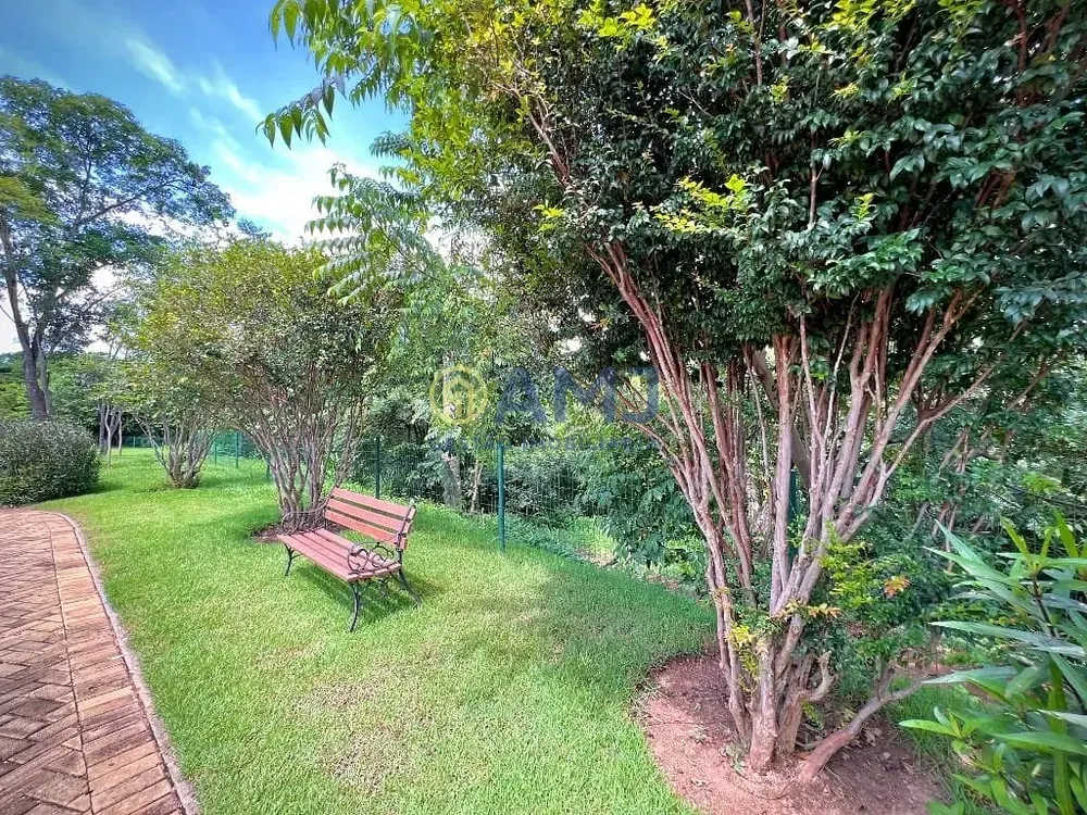 Terreno, 300 m² - Foto 6