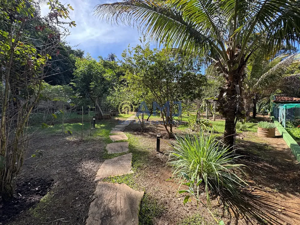 Chácara, 4 quartos, 2264 m² - Foto 5