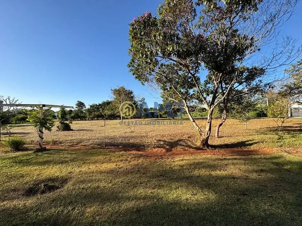 Chácara, 4 quartos, 5053 m² - Foto 3