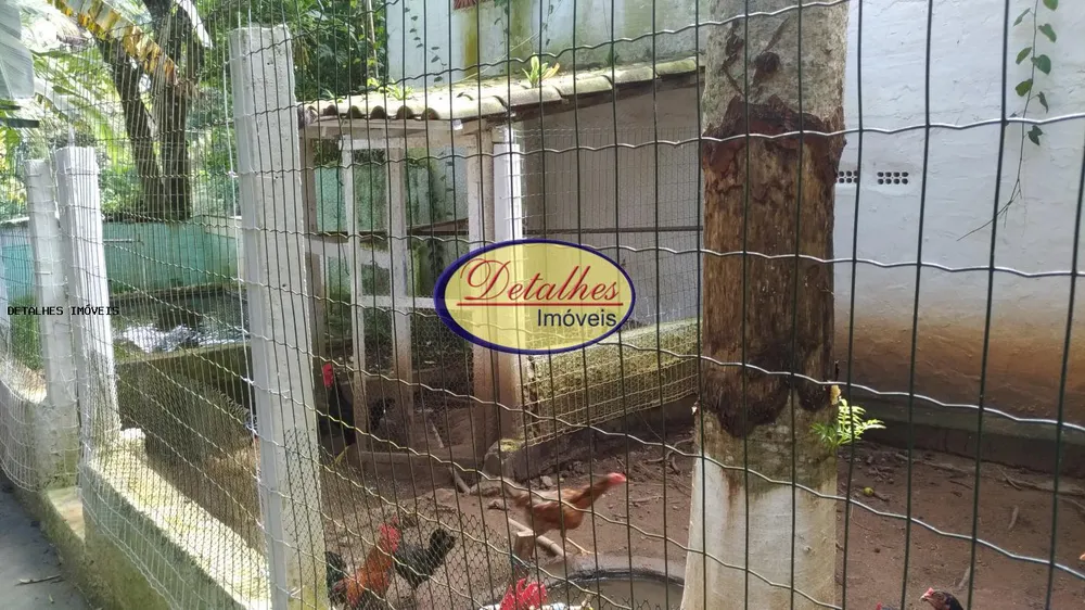 Casa, 4 quartos - Foto 4