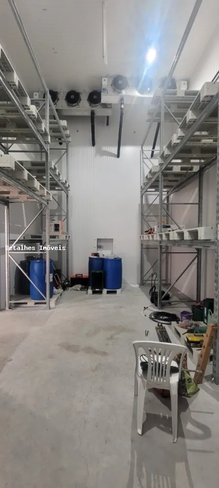 Depósito-Galpão, 260 m² - Foto 3