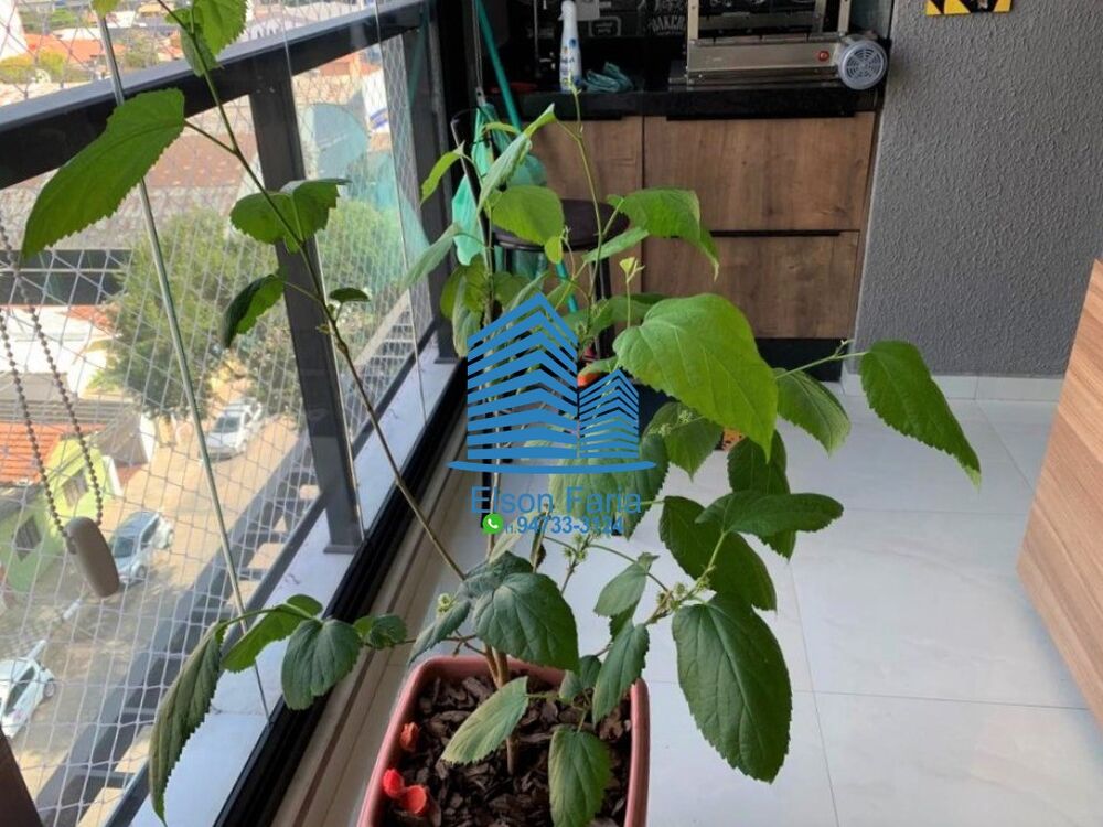 Apartamento, 2 quartos, 54 m² - Foto 1