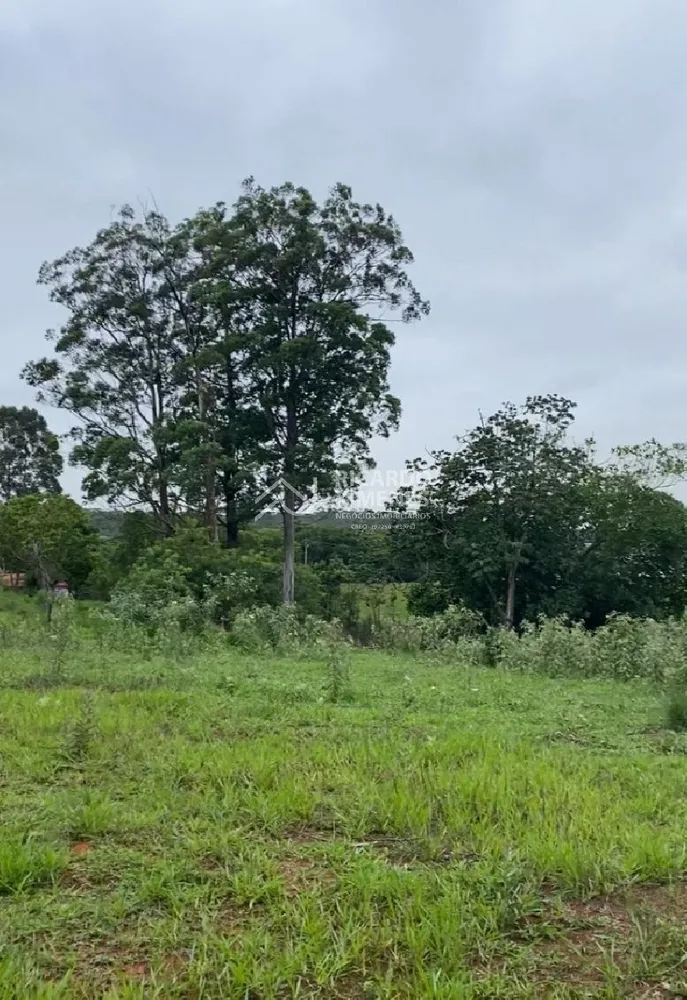 Loteamento e Condomínio, 5000 m² - Foto 3