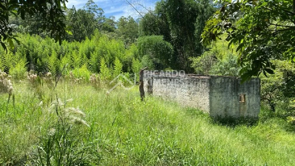 Loteamento e Condomínio, 5000 m² - Foto 1