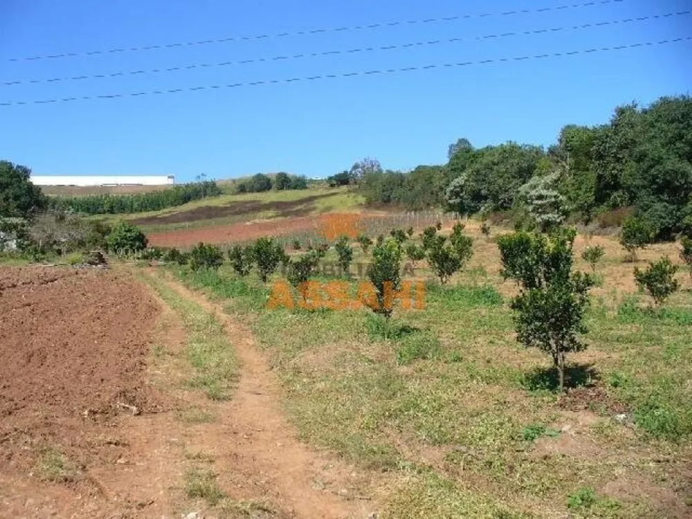 Prédio Inteiro - Foto 7