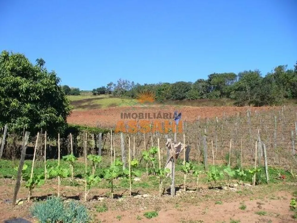 Prédio Inteiro - Foto 5