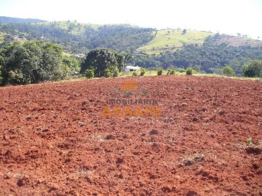 Prédio Inteiro - Foto 1