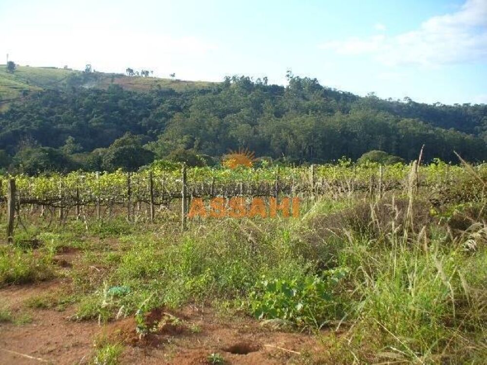Prédio Inteiro - Foto 3