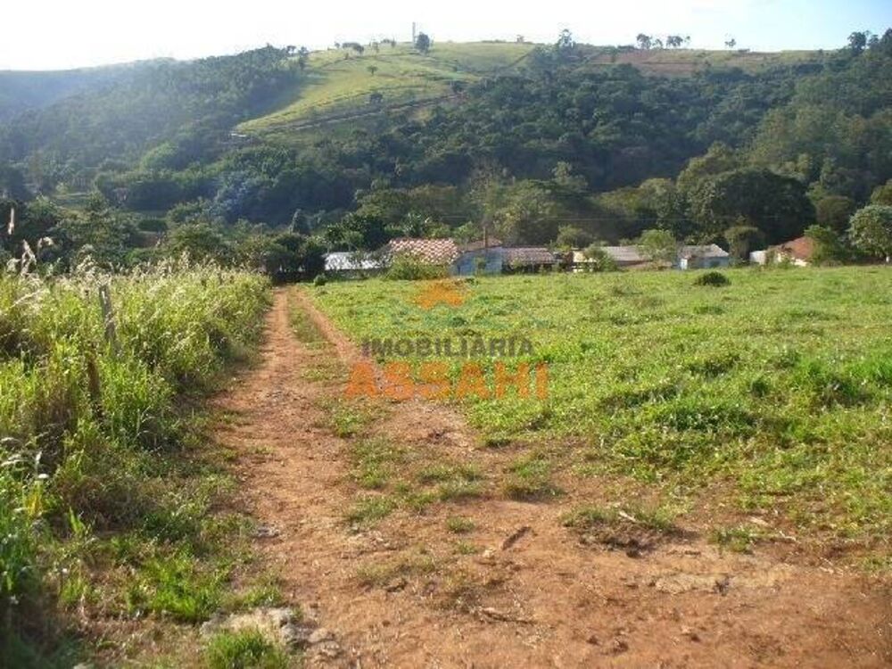 Prédio Inteiro - Foto 4