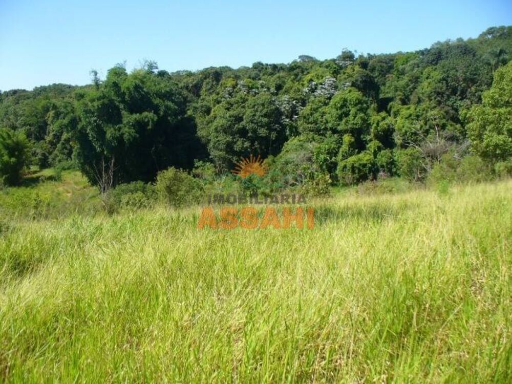 Terreno, 2 hectares - Foto 3