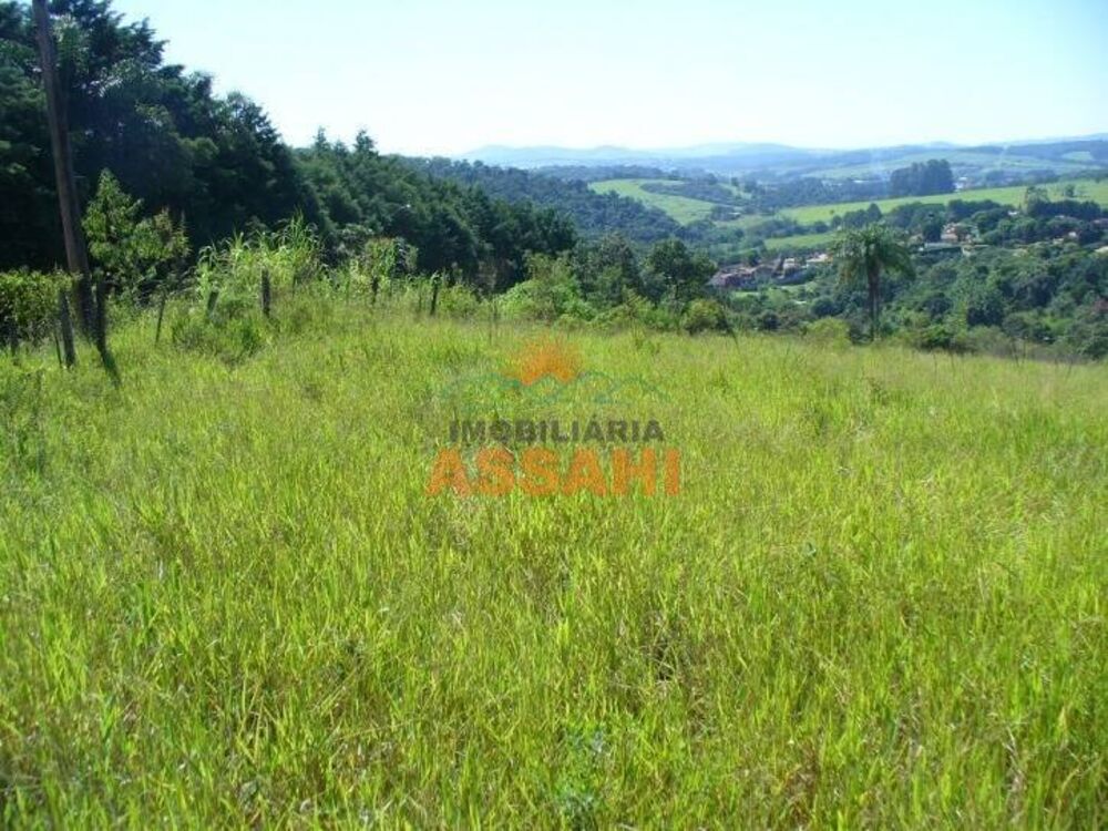 Terreno, 2 hectares - Foto 2