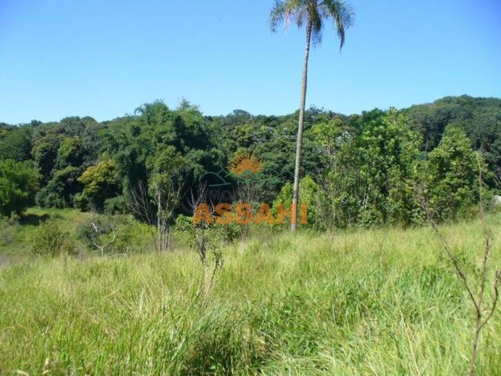 Terreno, 2 hectares - Foto 4