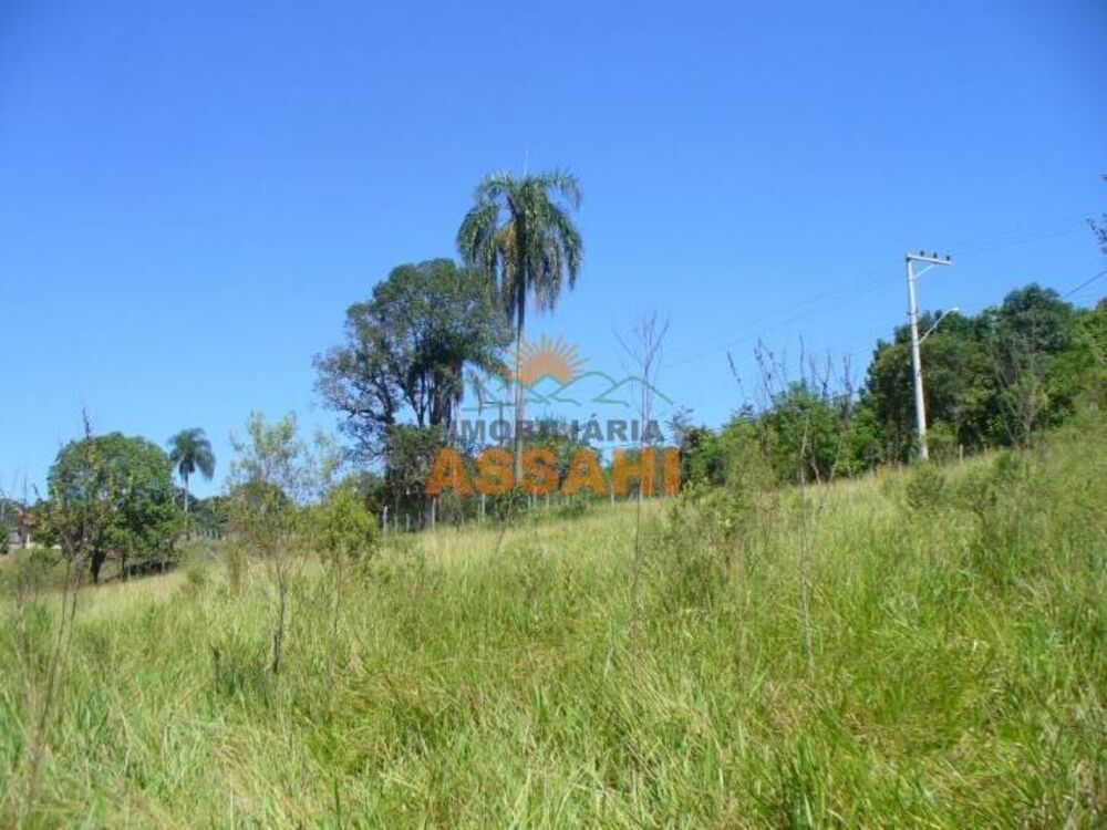 Terreno, 2 hectares - Foto 5