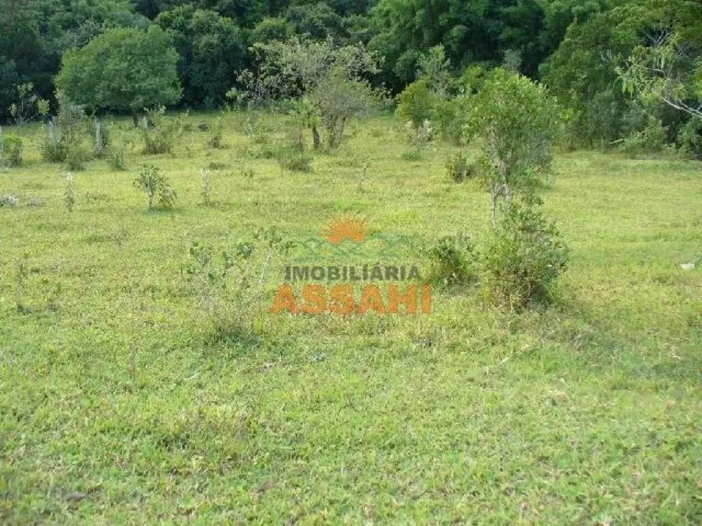 Prédio Inteiro - Foto 1