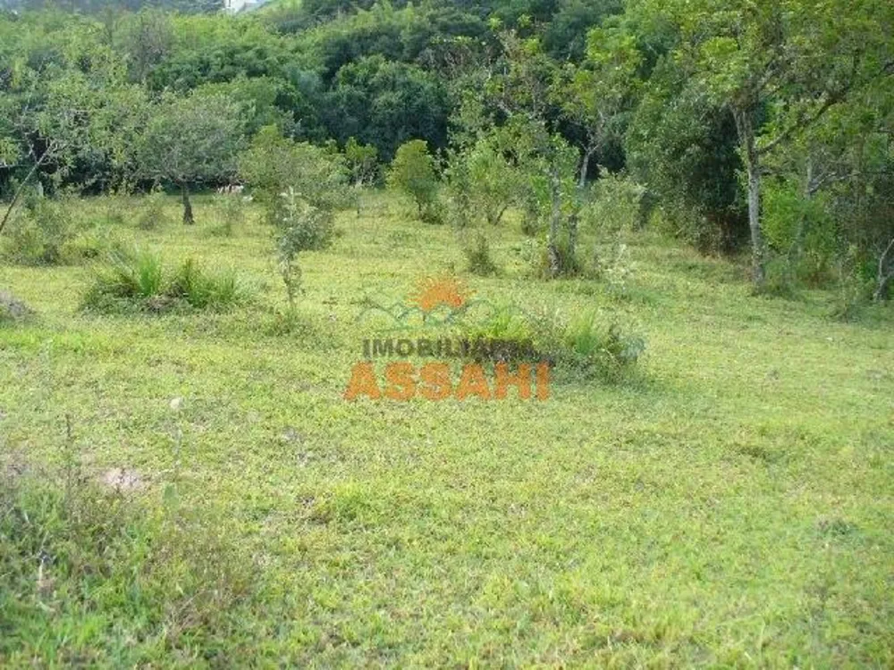 Prédio Inteiro - Foto 3