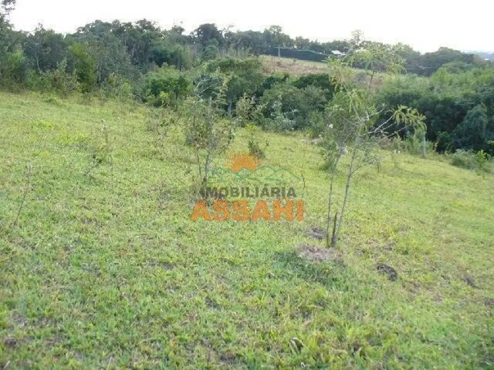 Prédio Inteiro - Foto 4