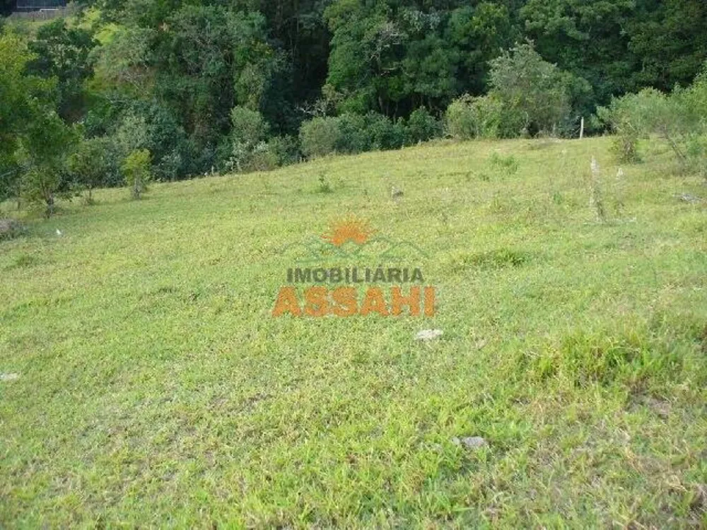 Prédio Inteiro - Foto 2