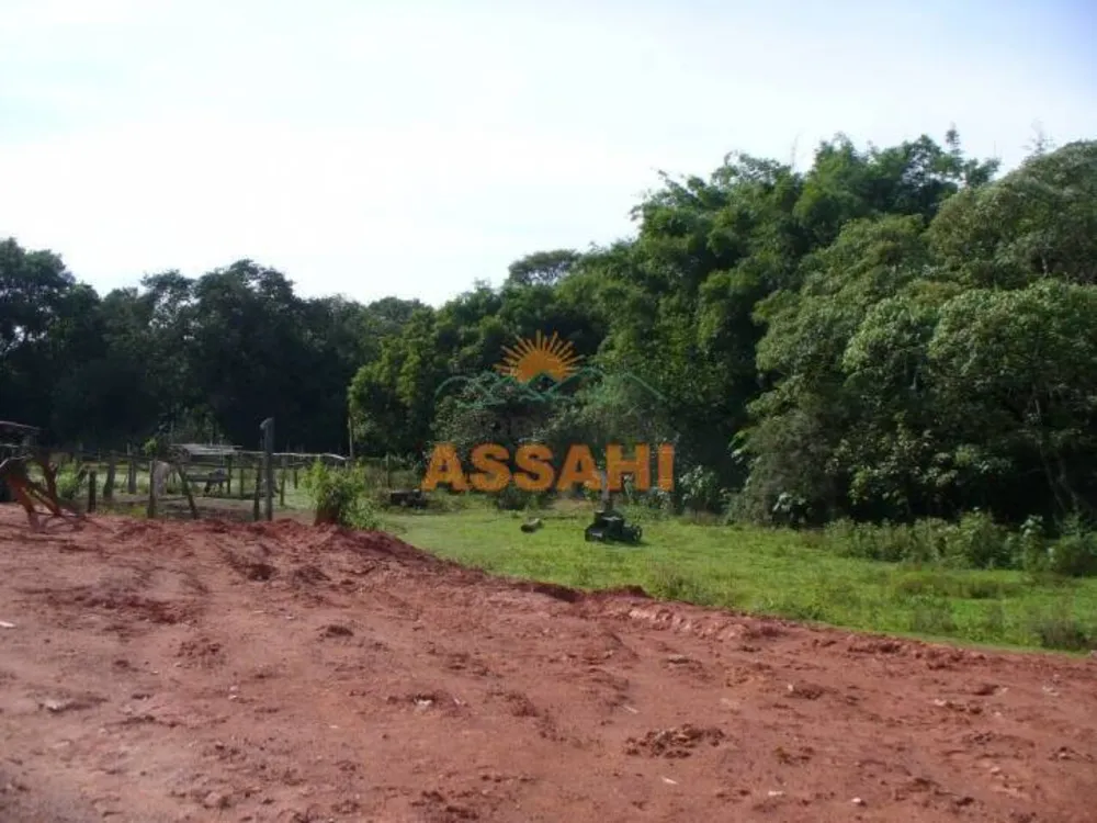 Terreno, 8 hectares - Foto 4