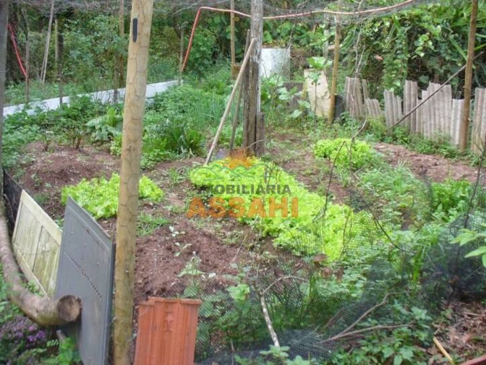 Casa, 5 quartos, 320 m² - Foto 9