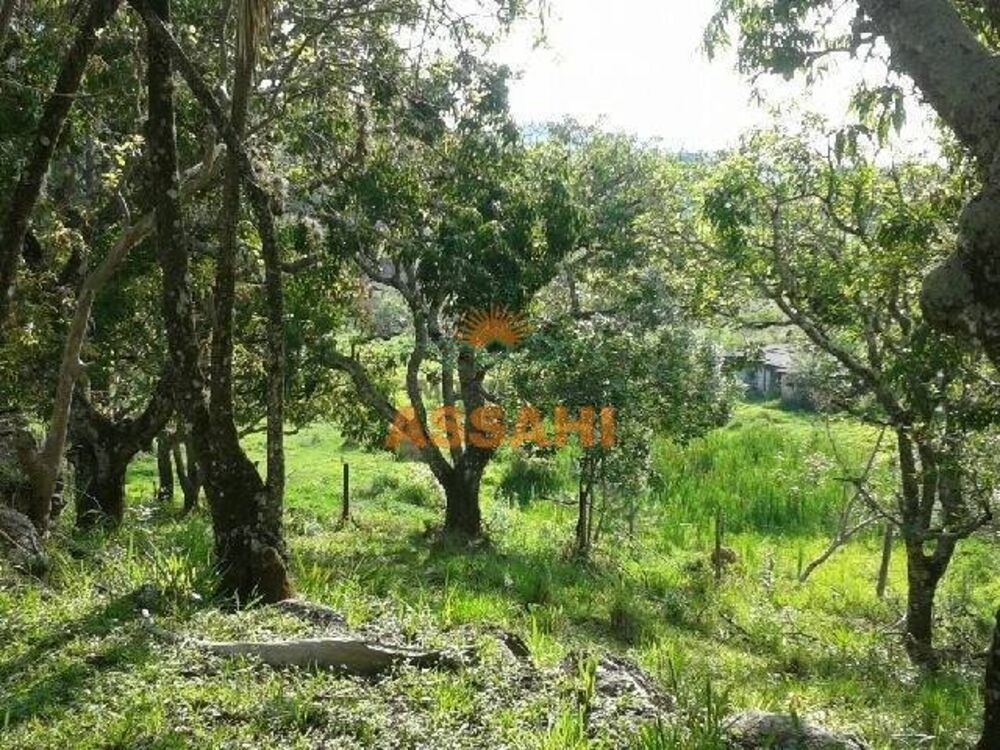 Terreno, 6 hectares - Foto 6