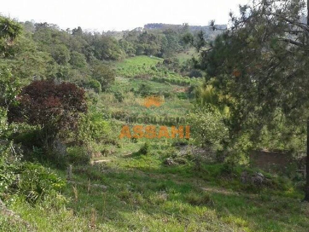 Terreno, 6 hectares - Foto 8