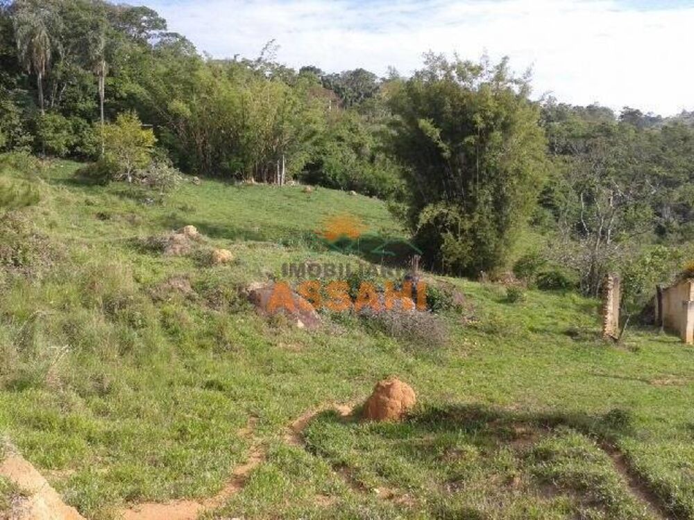 Terreno, 6 hectares - Foto 4