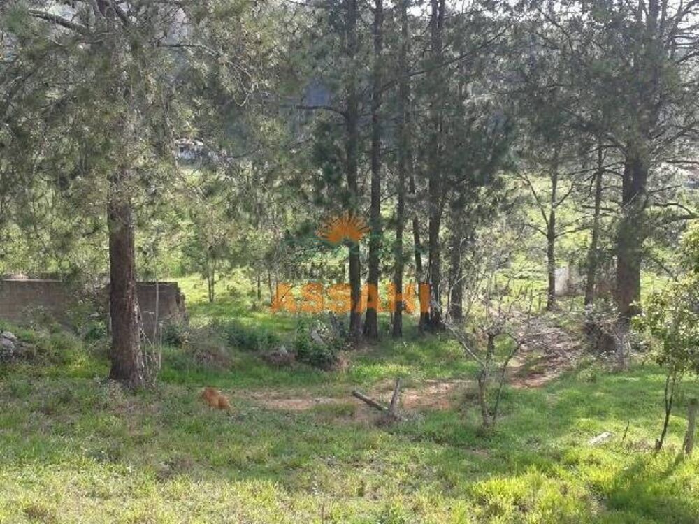 Terreno, 6 hectares - Foto 7