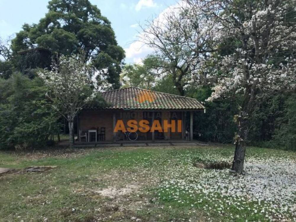 Terreno, 2 hectares - Foto 3