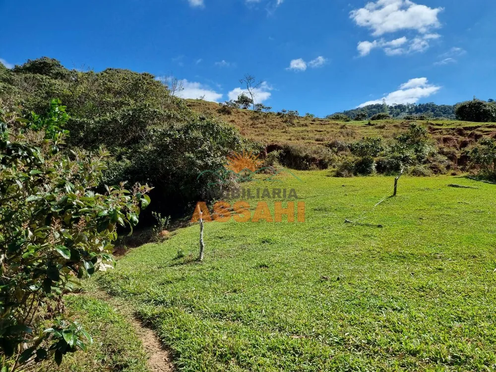 Terreno, 266 hectares - Foto 6