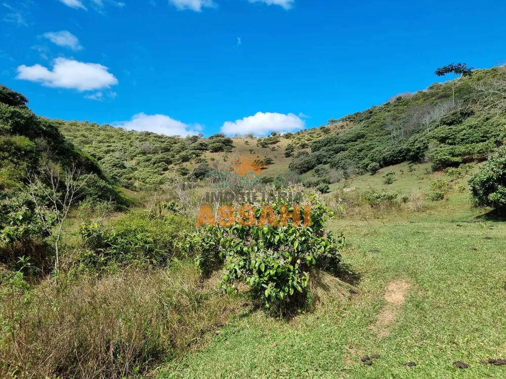Terreno, 266 hectares - Foto 9
